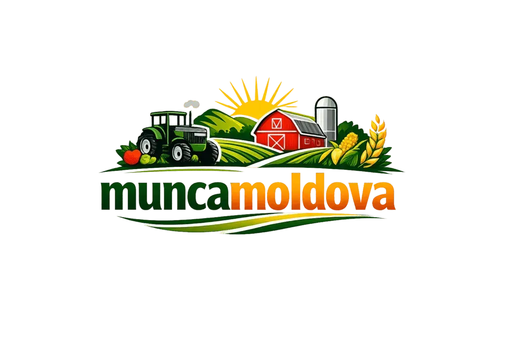Muncamoldova certified commercial business services and verified enterprise operations in Moldova - Muncamoldova - Business Services & Solutions (152)