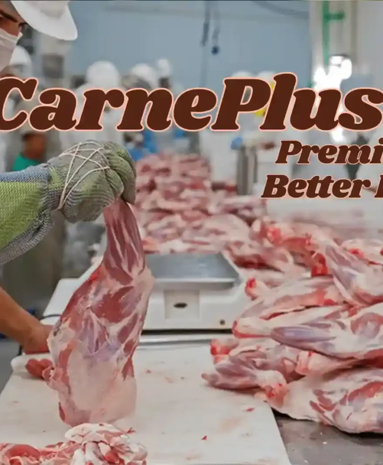 Certified meat processing, poultry packaging, and quality food facility of CarnePlus SRL Moldova - CarnePlus SRL - Meat Processing & Food Production (116)