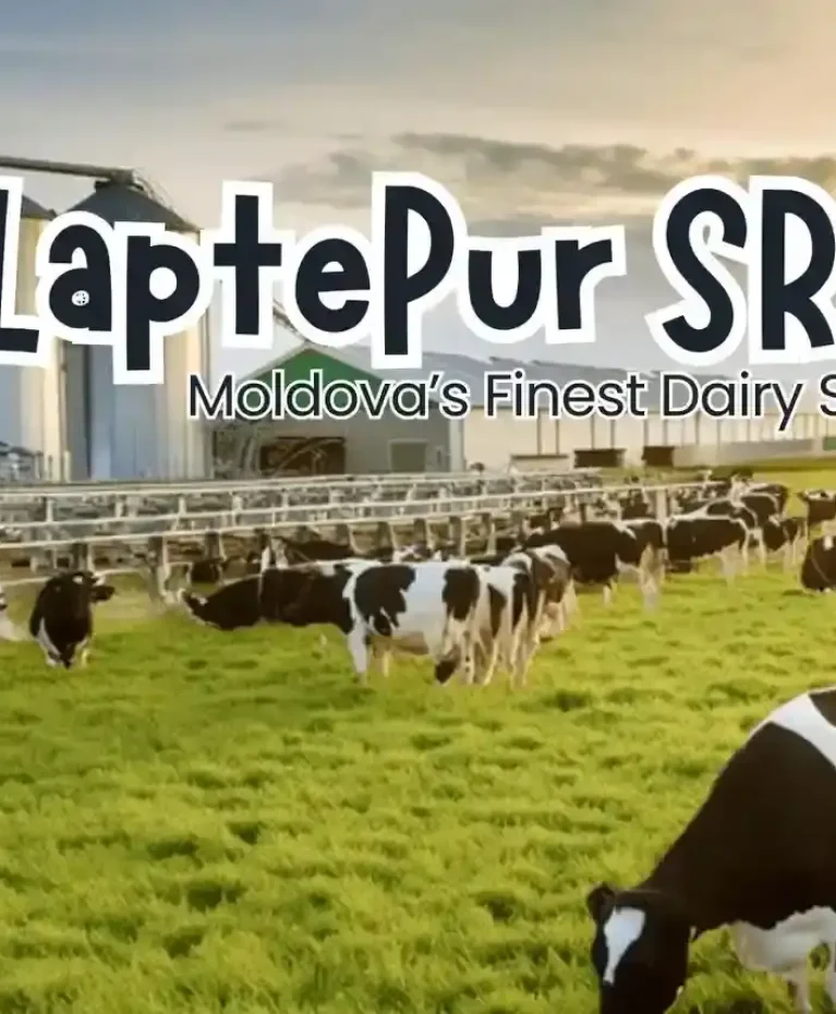 Fresh pasteurized milk bottling and organic dairy processing at LaptePur SRL Moldova - LaptePur SRL - Organic Dairy Products & Milk Processing (120)