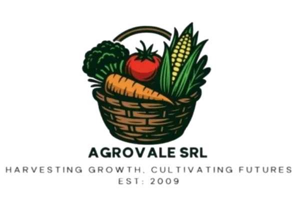 Muncamoldova corporate team, company history, and enterprise partnership mission in Moldova - Muncamoldova Official Brand Logo