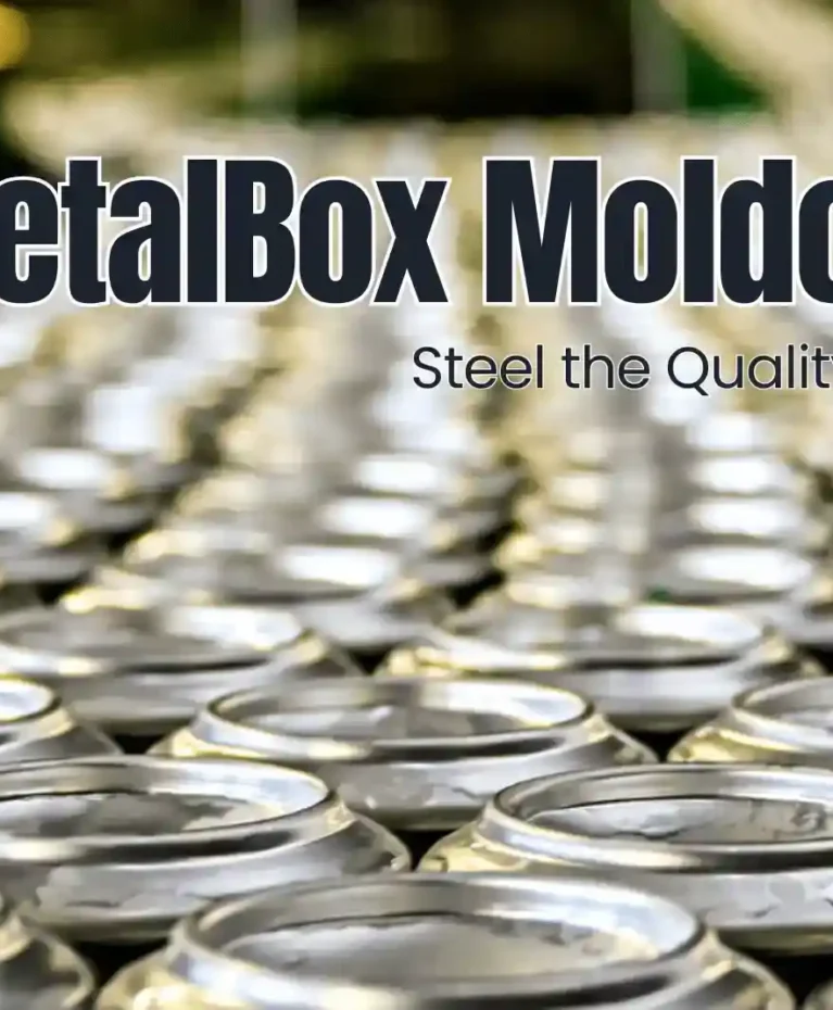 Heavy industrial metal fabrication, custom steel frames, and sheet metal works at MetalBox Moldova SRL - MetalBox Moldova SRL - Structural Steel & Metal Fabrication (118)