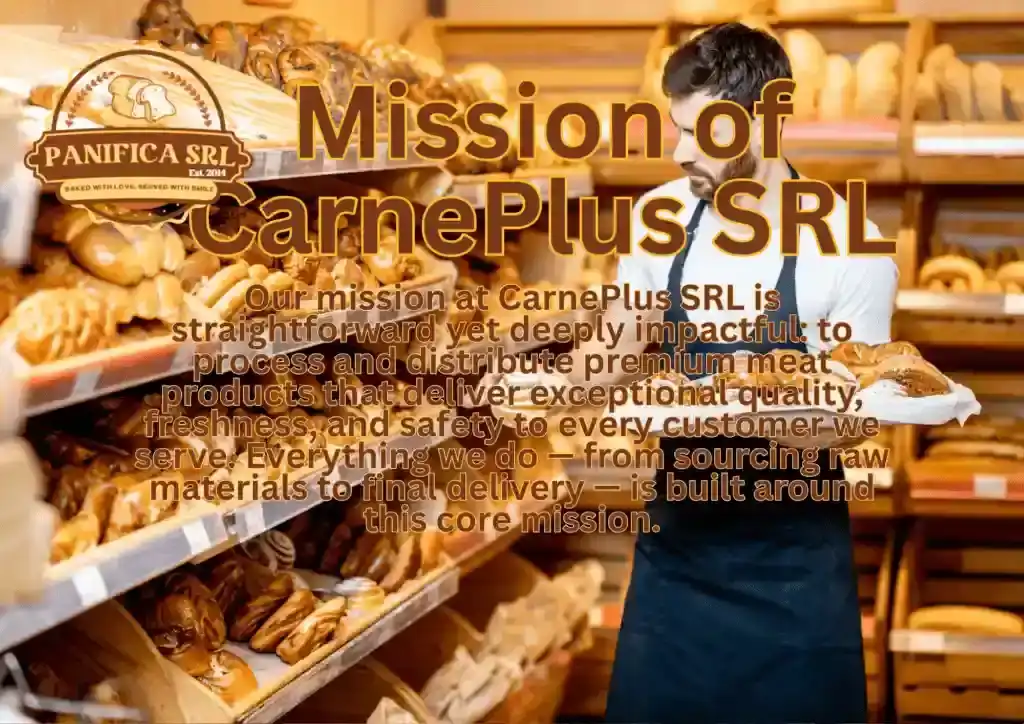 Traditional bakery oven, fresh artisan bread, and quality pastry production at Panifica SRL Moldova - Panifica SRL - Strategic Corporate Mission