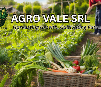 Agro vale srl Agro vale srl