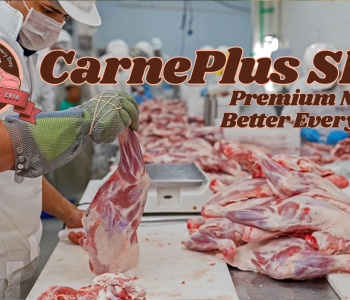 CarnePlus SRL CarnePlus SRL