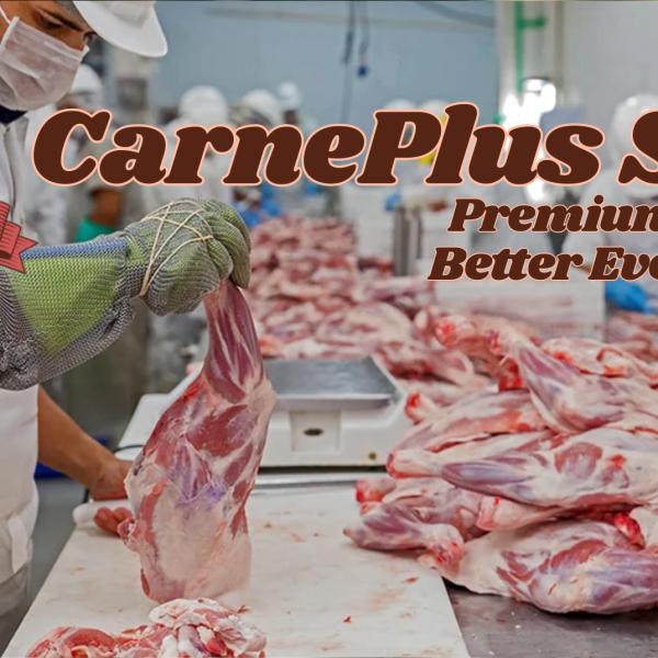 CarnePlus SRL