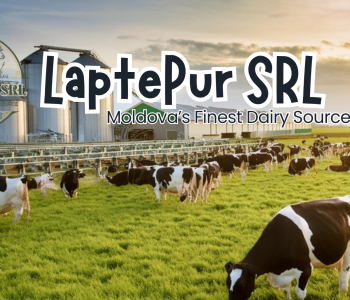 LaptePur SRL LaptePur SRL