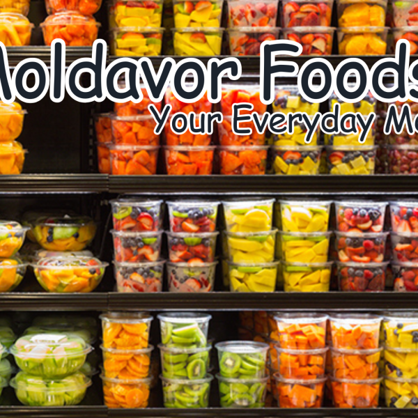 Moldavor Foods SRL