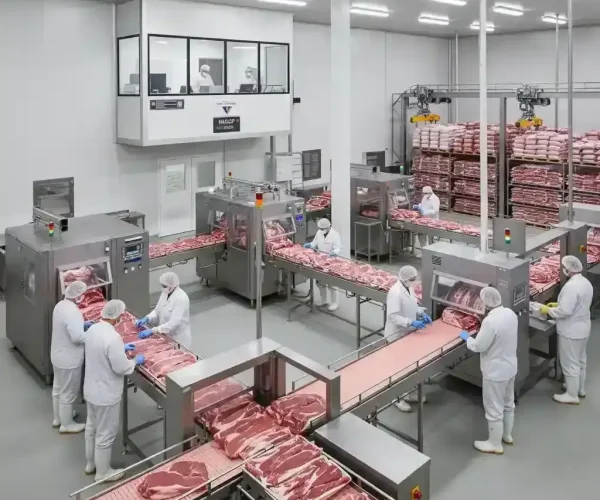 Certified meat processing, poultry packaging, and quality food facility of CarnePlus SRL Moldova - CarnePlus SRL - Meat Processing & Food Production (29)